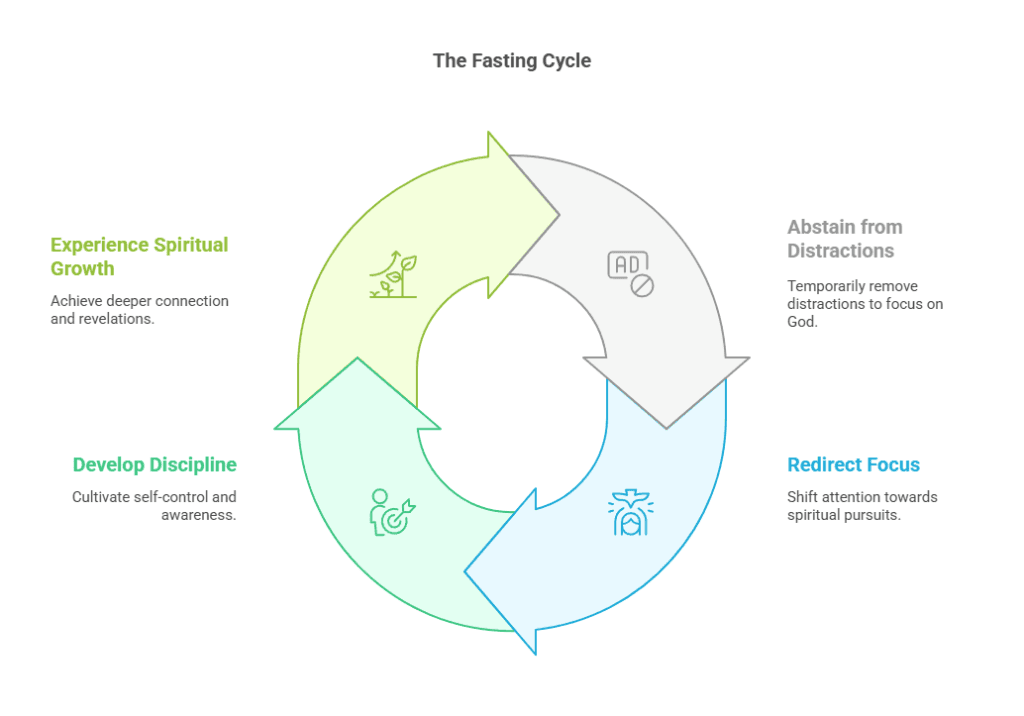 Diagram showing the fasting cycle.