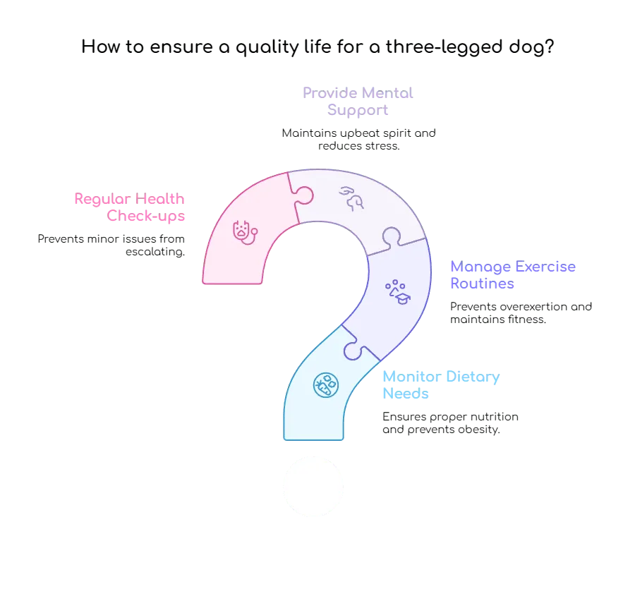 Diagram: Visual representation outlining key aspects of care for a three-legged dog to ensure a good quality of life.