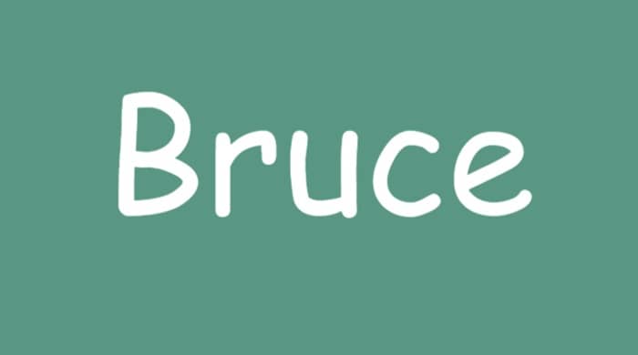 Representational image for biblical meaning of the name bruce