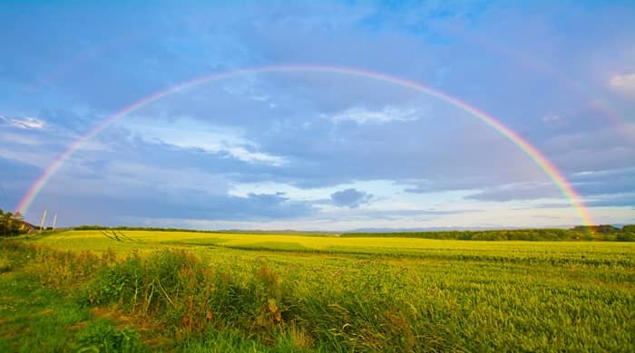 Representational image for keep seeing rainbows spiritual meaning
