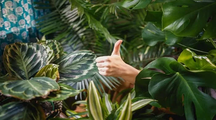Representational image for left thumb twitches meaning spiritually