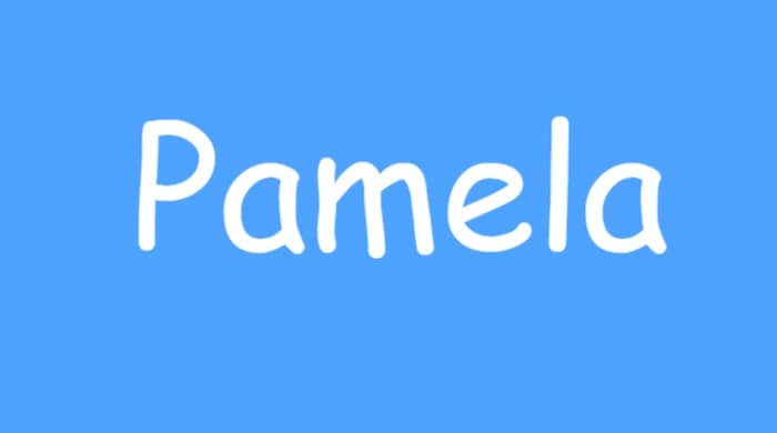 Representational image for the name pamela meaning in the bible