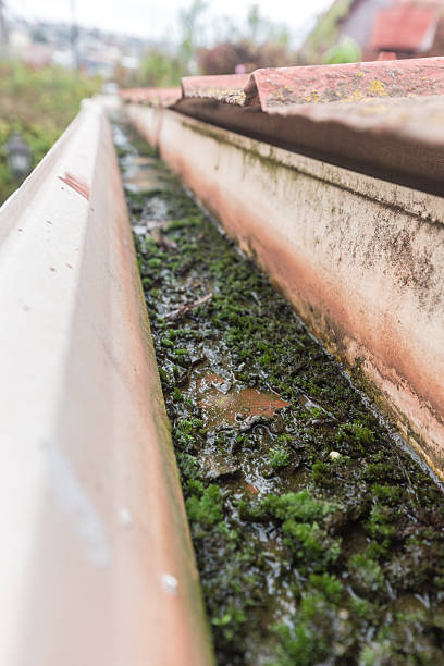 Prevent Clogged Drains All Year Round