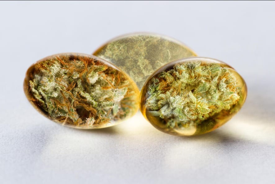 Premium Cannabis Products Delivered to Your Home