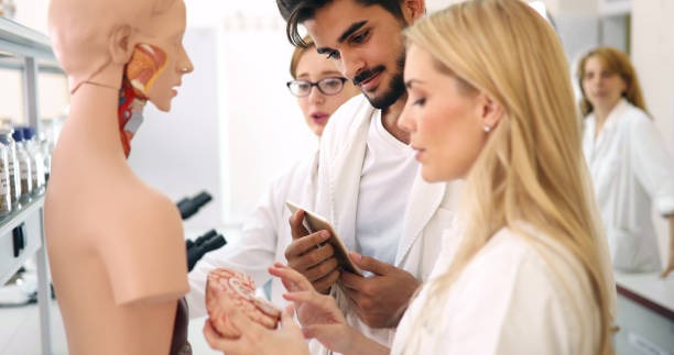 Bachelor of Health Science in Clinical Aesthetics