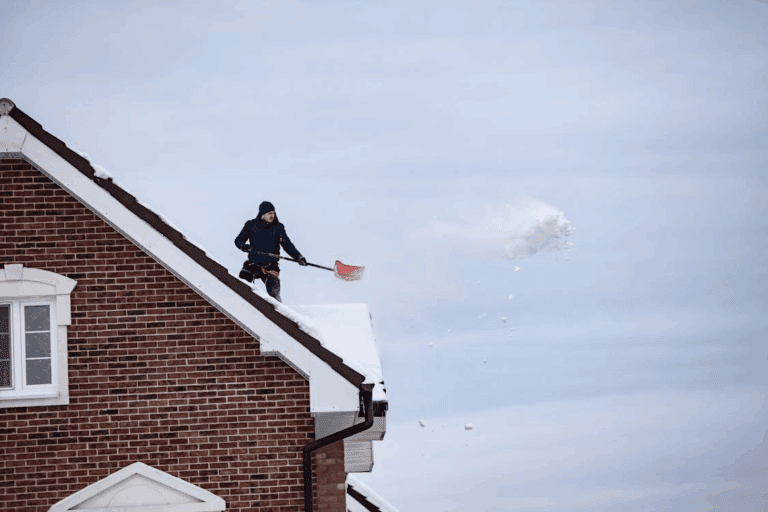 Cleaning and Maintaining Your Roof