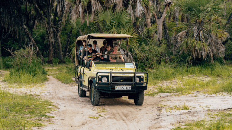 First Family Safari in Tanzania Truly Magical