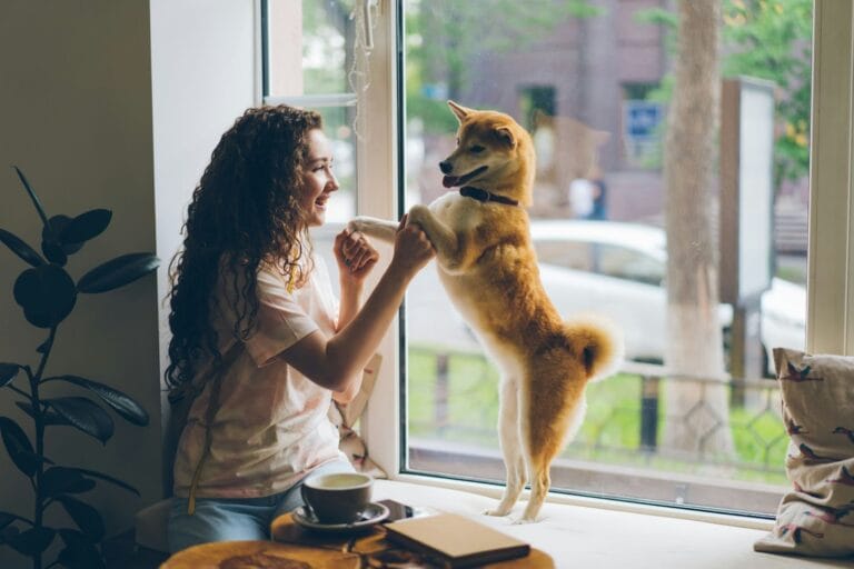 Lifestyle Habits for You and Your Dog