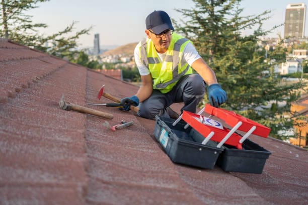 Roof Maintenance