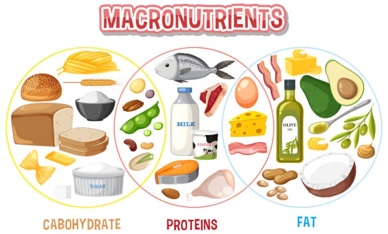 Nutritious Meals With Proper Thickening