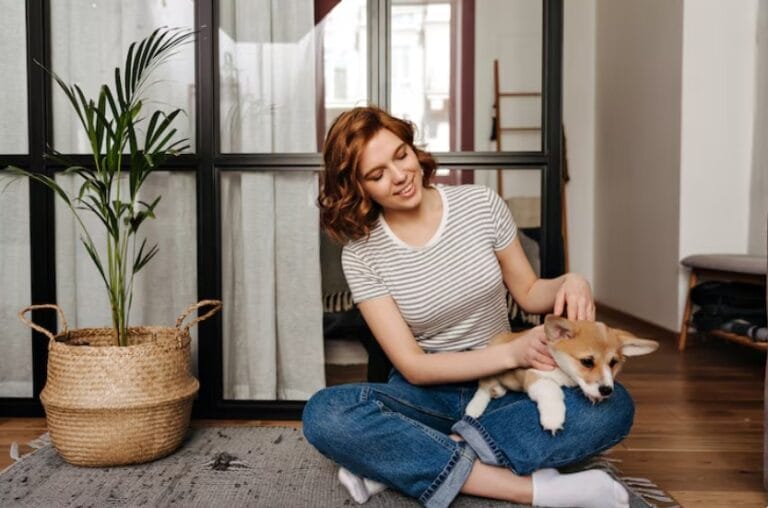 5 Signs Your Dog Is Overdue for Grooming